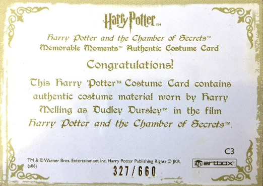 C3 - Dudley Dursley's Suit - Back