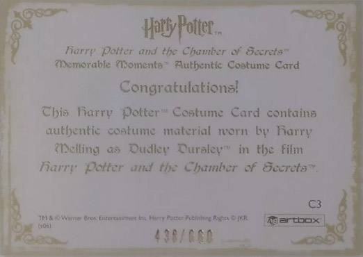 C3 - Dudley Dursley's Suit - Back