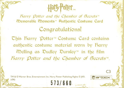 C3 - Dudley Dursley's Suit - Back