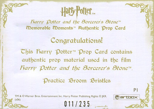 P1 - Practice Broom Bristles - Back