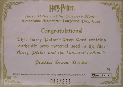 P1 - Practice Broom Bristles - Back