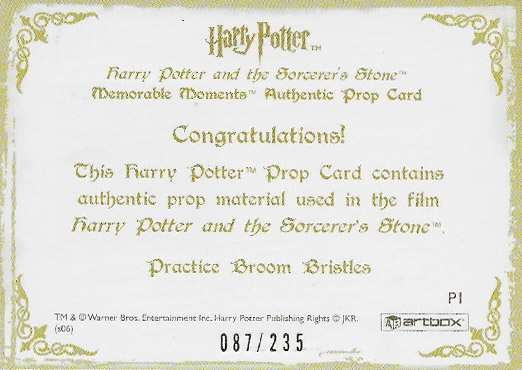 P1 - Practice Broom Bristles - Back