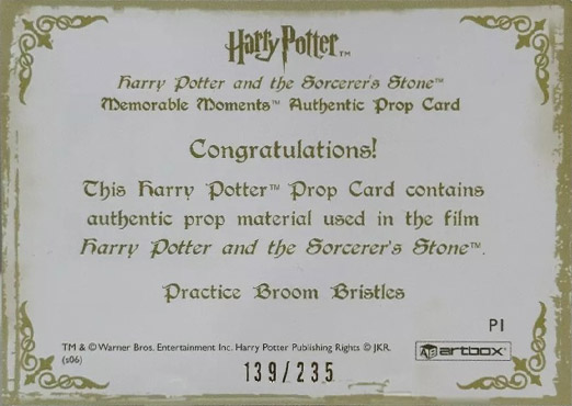 P1 - Practice Broom Bristles - Back