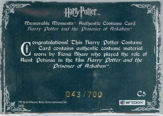 C5 - Aunt Petunia's Costume - Back