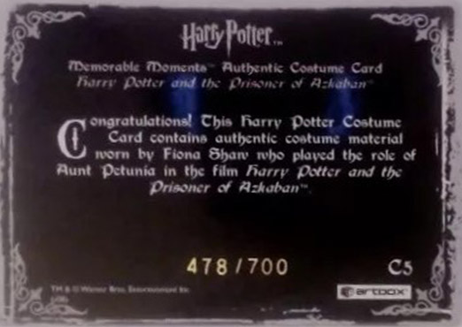 C5 - Aunt Petunia's Costume - Back