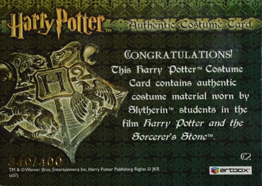 C2 - Slytherin Students Scarf - Back