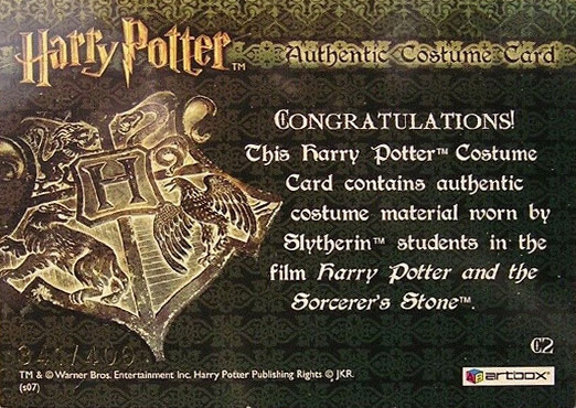 C2 - Slytherin Students Scarf - Back