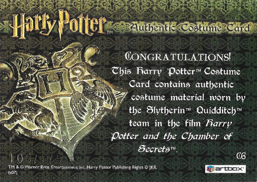 C6 - Slytherin Team Quidditch Robes - Back