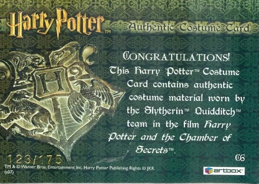 C6 - Slytherin Team Quidditch Robes - Back