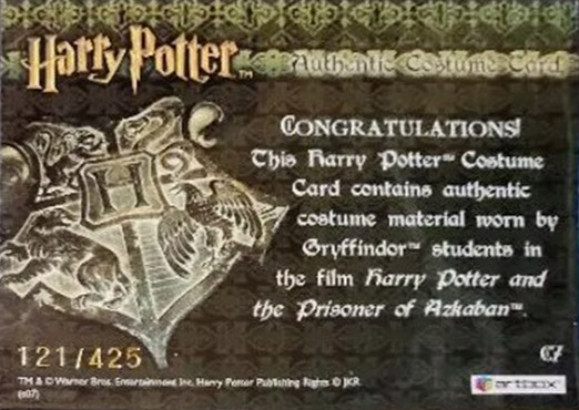 C7 - Gryffindor Students Tie - Back