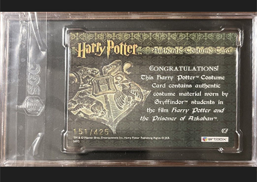 C7 - Gryffindor Students Tie - Back