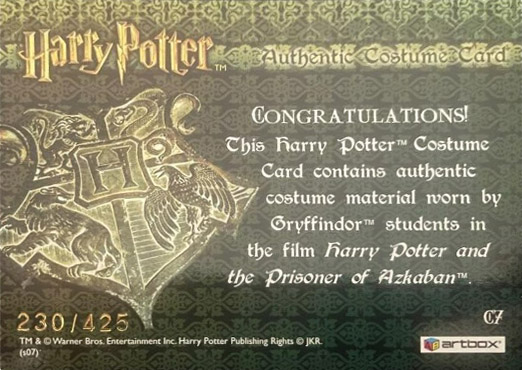 C7 - Gryffindor Students Tie - Back