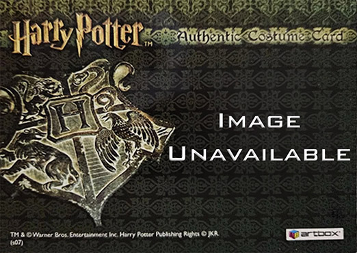 C7 - Gryffindor Students Tie - Back