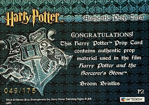 P2 - Broom Bristles - Back