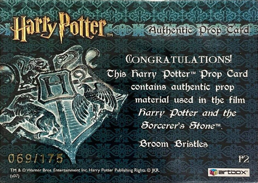 P2 - Broom Bristles - Back