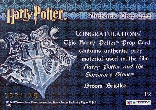 P2 - Broom Bristles - Back