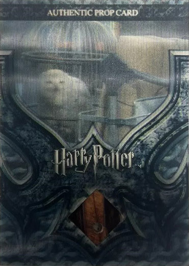 P2 - Hedwig's Cage - Front