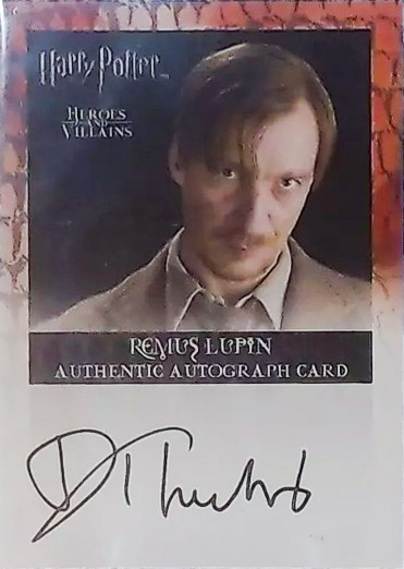 David Thewlis as Remus Lupin