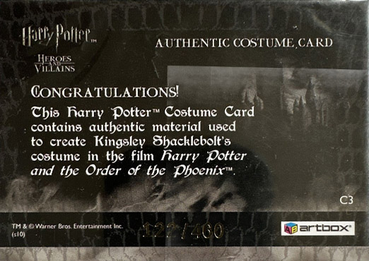 C3 - Kingsley Shacklebolt's Robes - Back