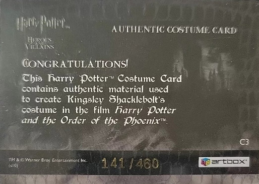 C3 - Kingsley Shacklebolt's Robes - Back