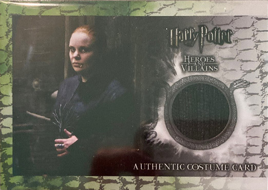 C6 - Alecto Carrow's Robes - Front