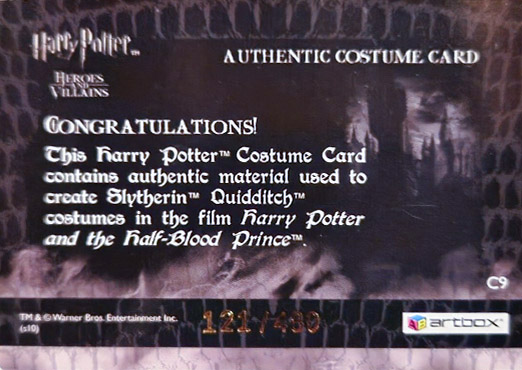 C9 - Slytherin Quidditch Robes - Back