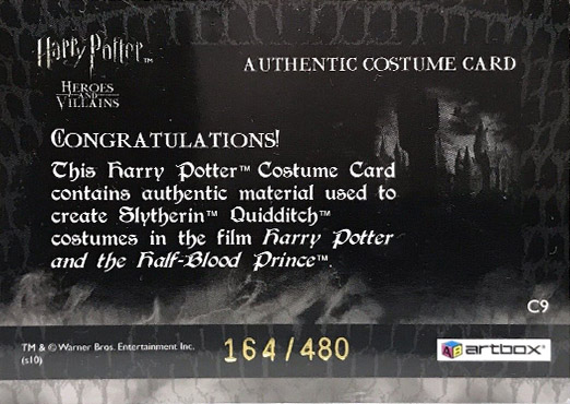 C9 - Slytherin Quidditch Robes - Back