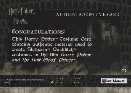 C9 - Slytherin Quidditch Robes - Back