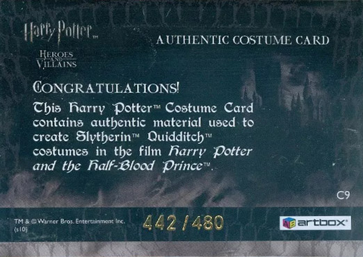 C9 - Slytherin Quidditch Robes - Back